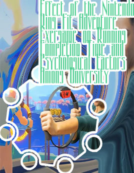 Wii fit adventure